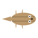 Back Leg Length: Mid