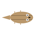 Back Leg Length: Short