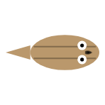 Eyes: Large
