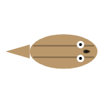 Eyes: Mid