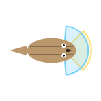 Far Vision Distance: Short field of view