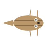 Front Leg Length: Long
