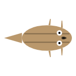 Front Leg Length: Mid