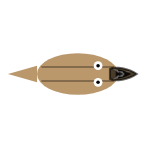 Mouth Type: Scavenger