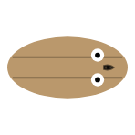 Tail Length: None