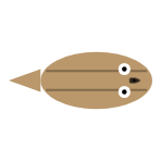 Tail Length: Short